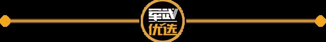 杀激烈1小时歼-10CP如何在160公里外精准射杀？ag真人平台第一游戏印巴空战最新战果！125架战机厮(图12)